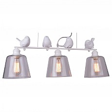 Подвесной светильник arte lamp pass...